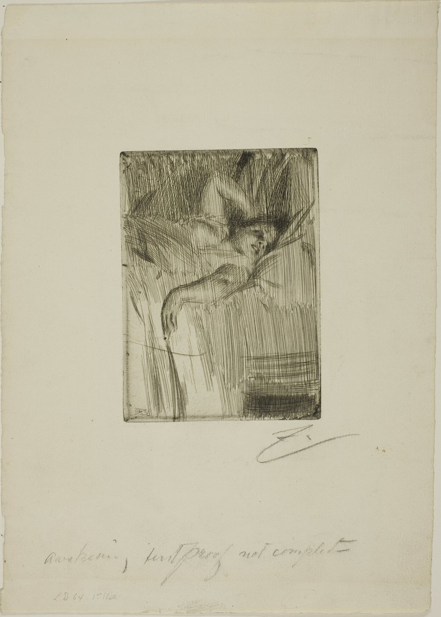 El despertar de Anders Leonard Zorn