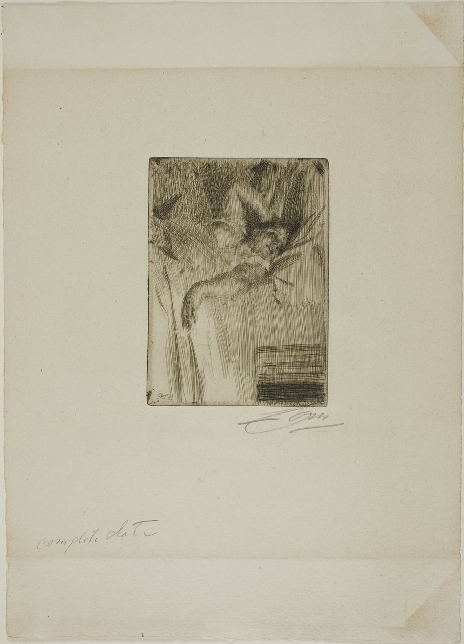 El Despertar de Anders Leonard Zorn