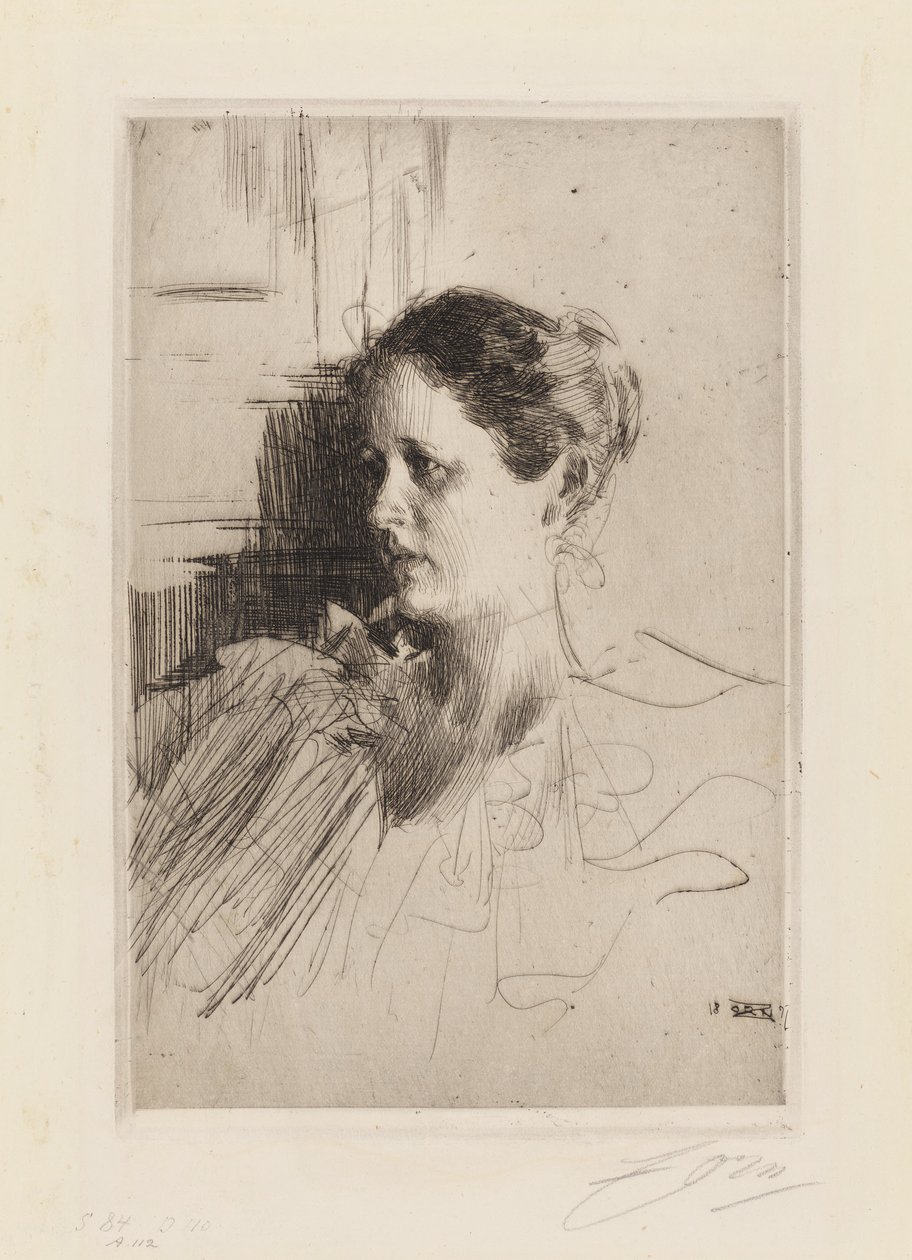 Retrato de la señora Ch. Nagel de Anders Zorn