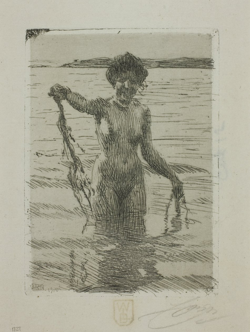 Algas de Anders Leonard Zorn