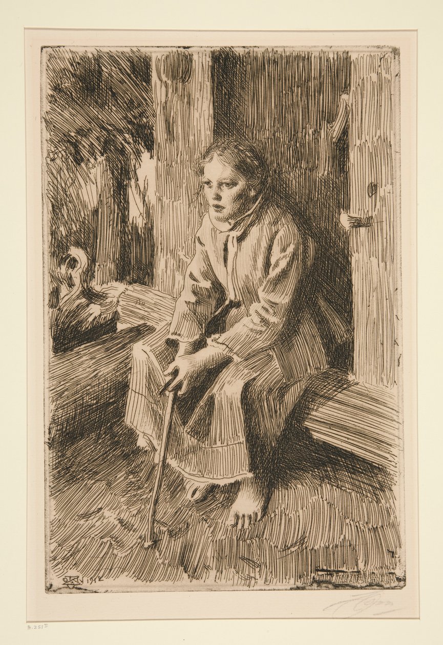 con proteina de Anders Leonard Zorn