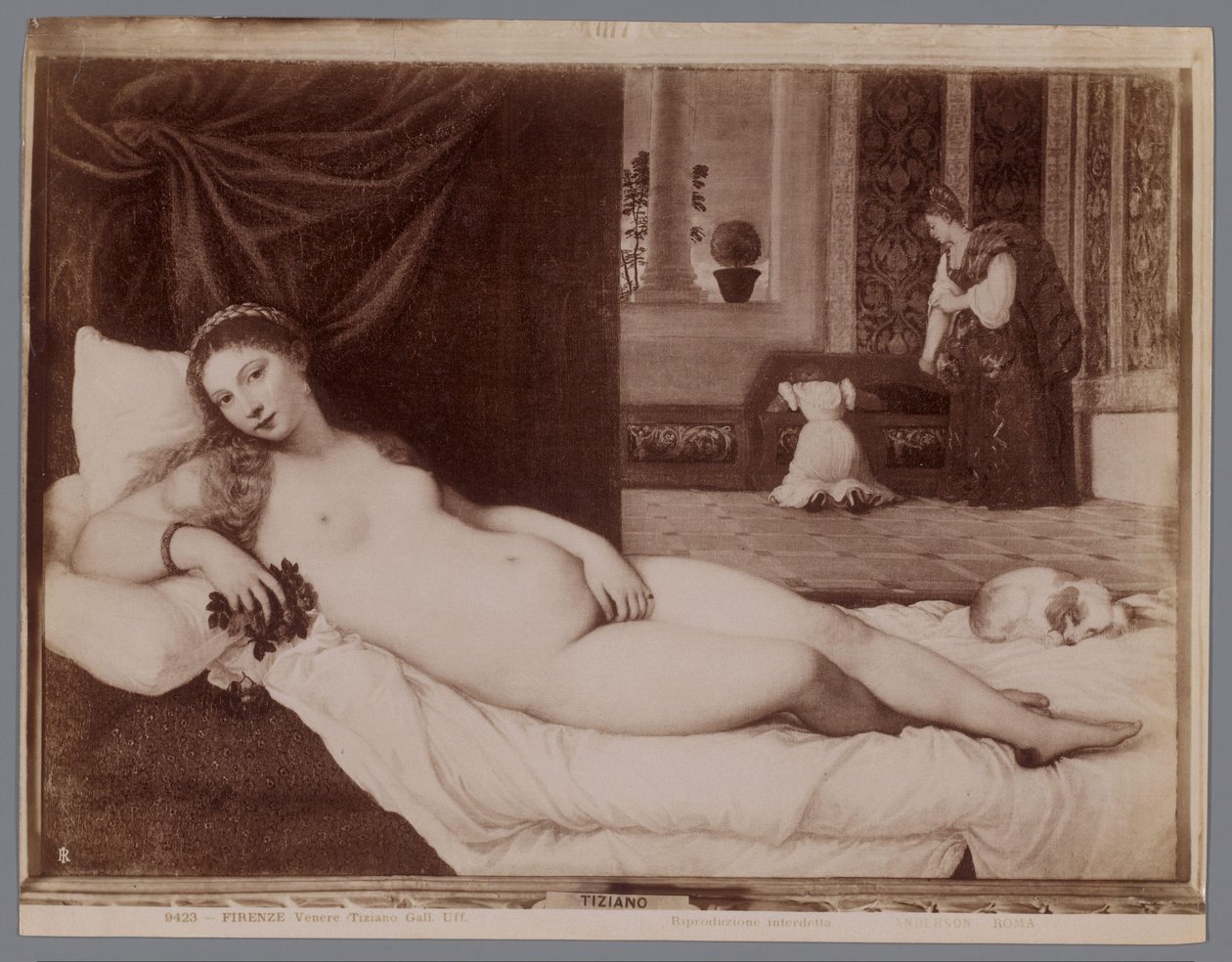 Reproducción fotográfica del cuadro Venus de Urbino de Tiziano Firenze, Venere (Tiziano Gall. Uff.) (título sobre el objeto) de Anderson (firma)