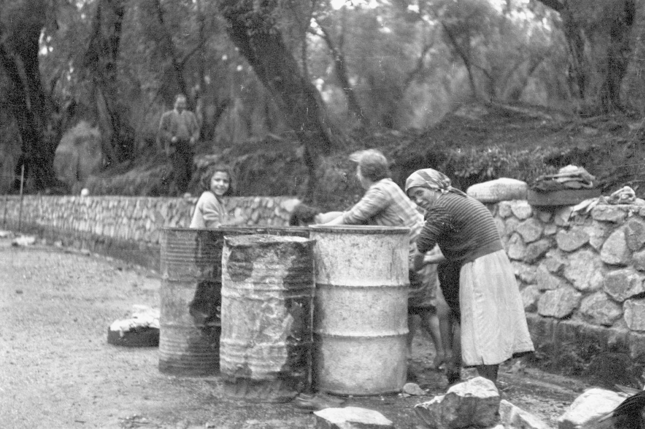 Recolectores de aceitunas de Ando Gilardi