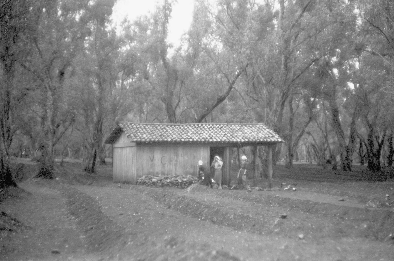 REFUGIO EN EL OLIVAR de Ando Gilardi