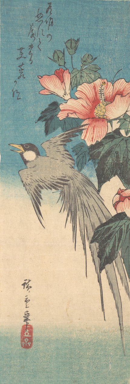 Hibiscus Mutabilis y pájaro de cola larga, ca. 1842 de Ando Hiroshige