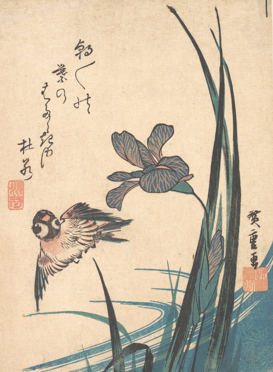 Iris y gorrión de Ando Hiroshige