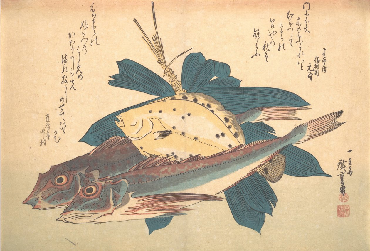 Kanagashira y Karei Fish, de la serie Uozukushi Cada variedad de pez, 1830s de Ando Hiroshige