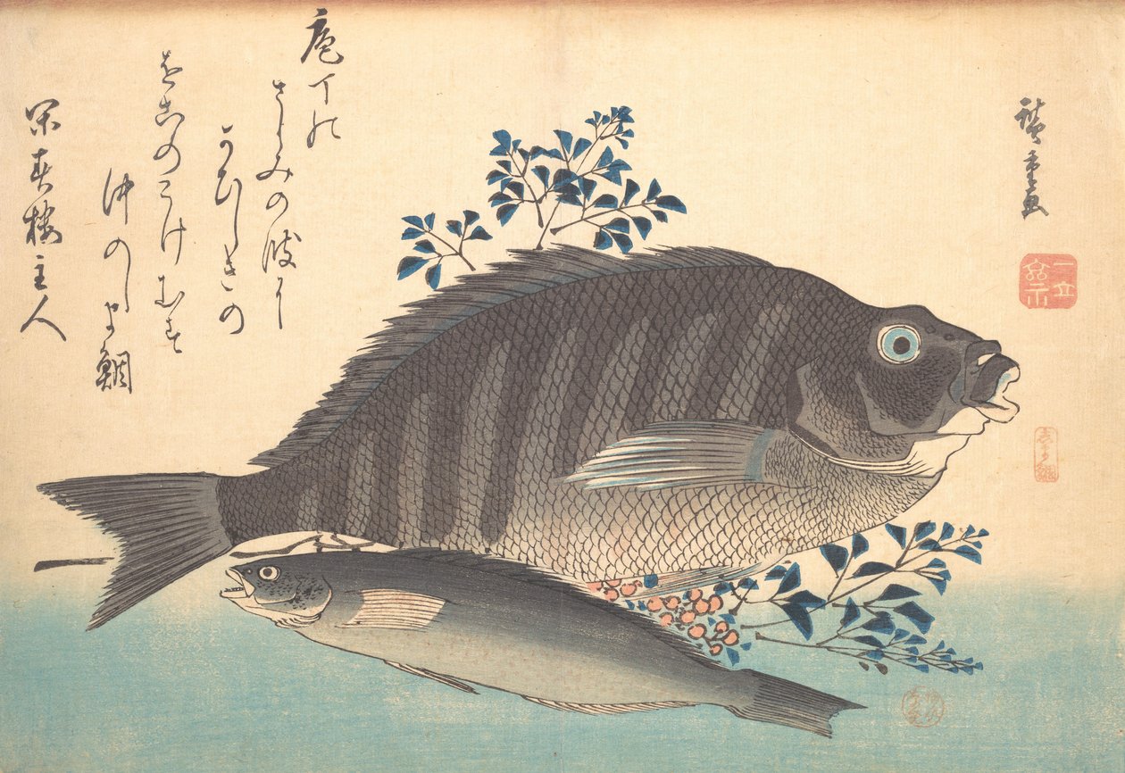 Shimadai y pez Ainame, de la serie Uozukushi Cada variedad de pez, 1840s de Ando Hiroshige