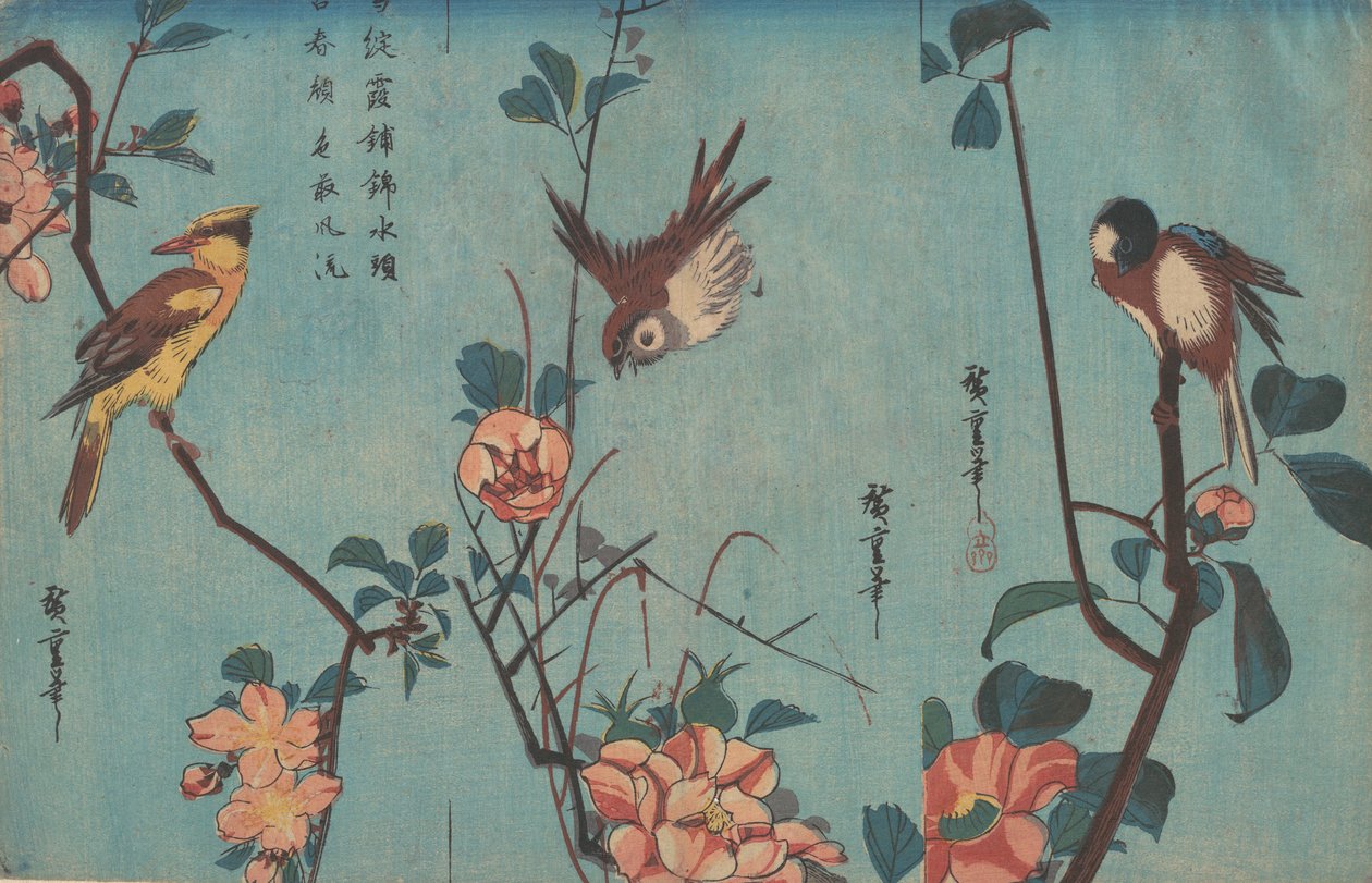 Carbonero y camelias a la derecha, gorrión y rosas silvestres en el centro, y oriol de nuca negra..., ca. 1833. de Ando Hiroshige