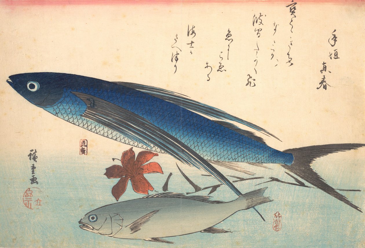 Tobiuo y pez Ishimochi, de la serie Uozukushi Cada variedad de pez, 1840s de Ando Hiroshige
