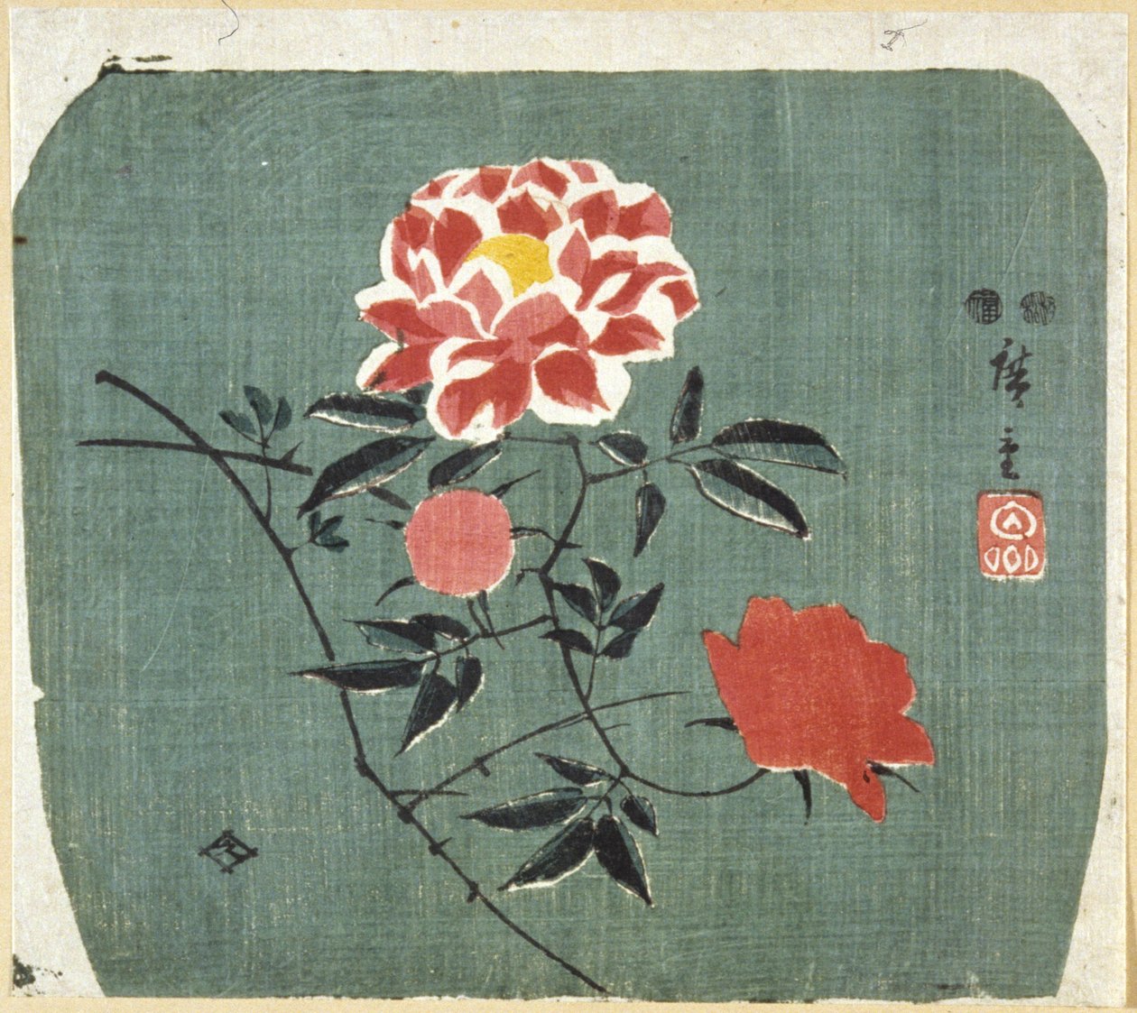Abanico: Rosa de Ando or Utagawa Hiroshige
