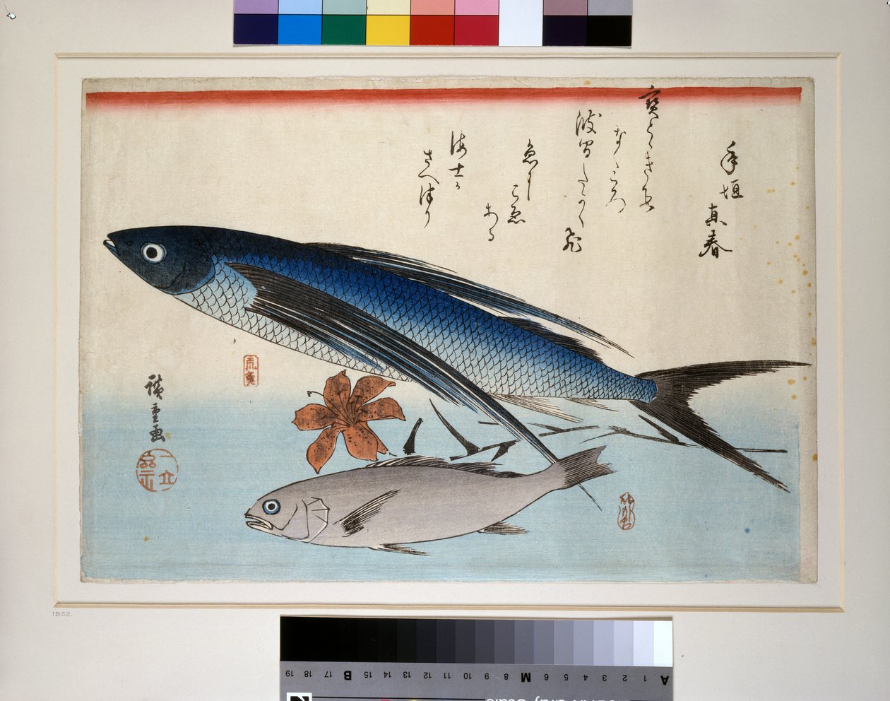 Pez volador, pez ishimochi y lirio de Ando or Utagawa Hiroshige