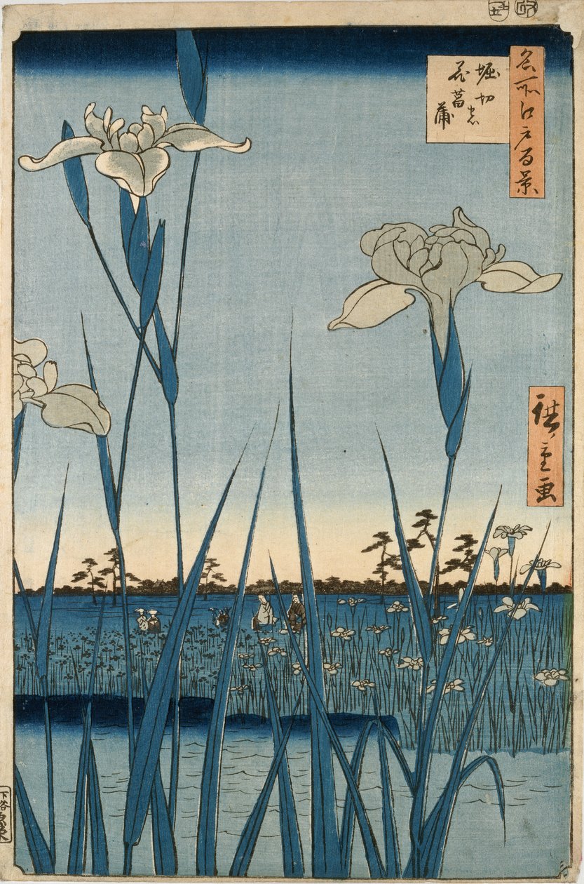Jardín de lirios Horikiri de Ando or Utagawa Hiroshige