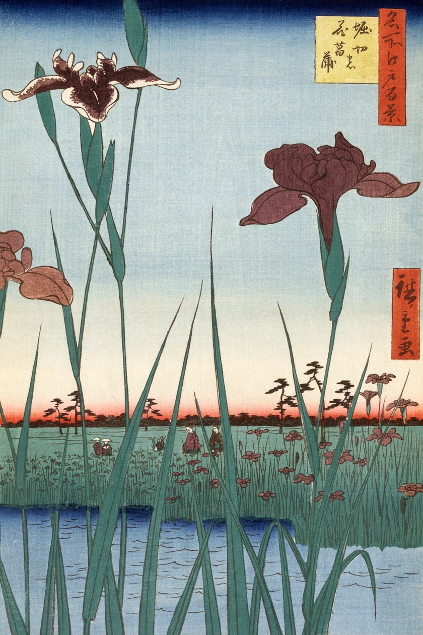 Jardín de lirios de Horikiri por Utagawa Hiroshige de Ando or Utagawa Hiroshige