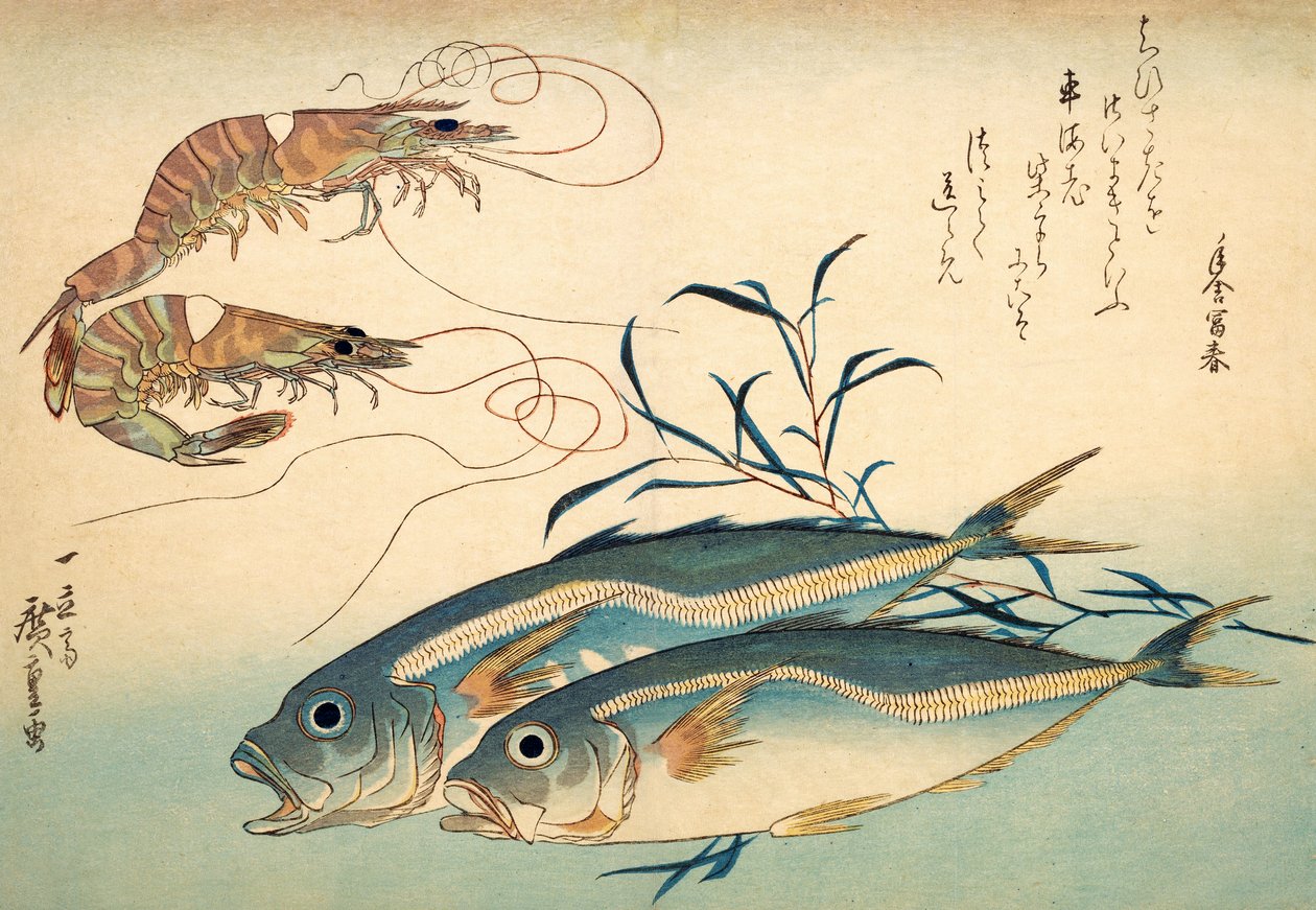 Caballa japonesa y langostino japonés de Ando or Utagawa Hiroshige