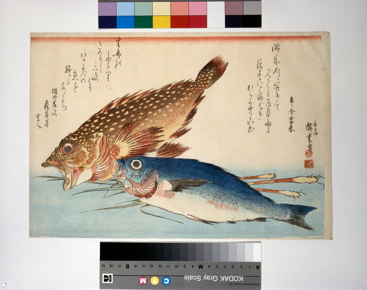 Cabracho e isaki con raíz de jengibre de Ando or Utagawa Hiroshige