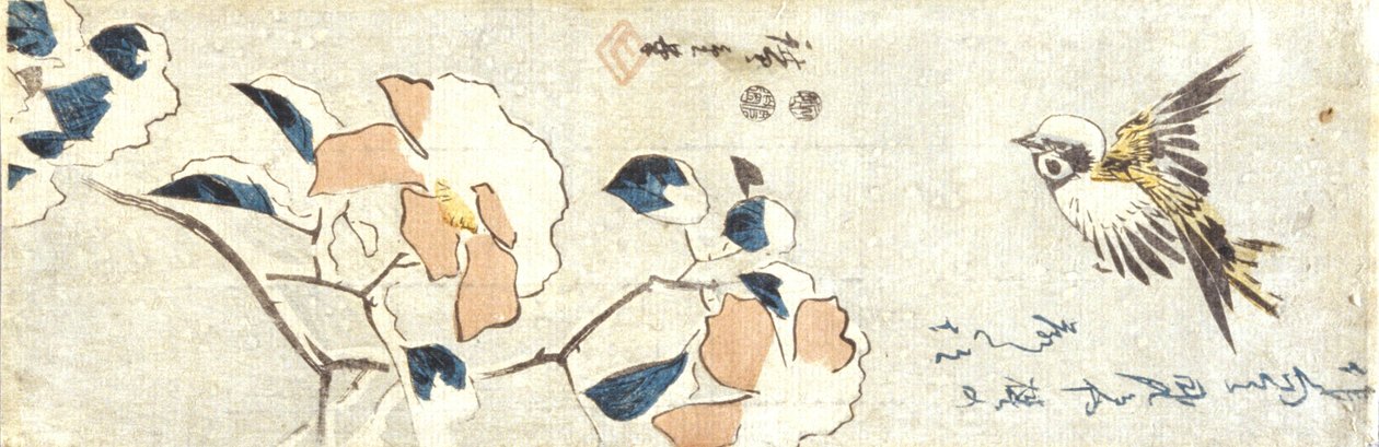 Spatz und schneebedeckte Kamelie von Ando or Utagawa Hiroshige