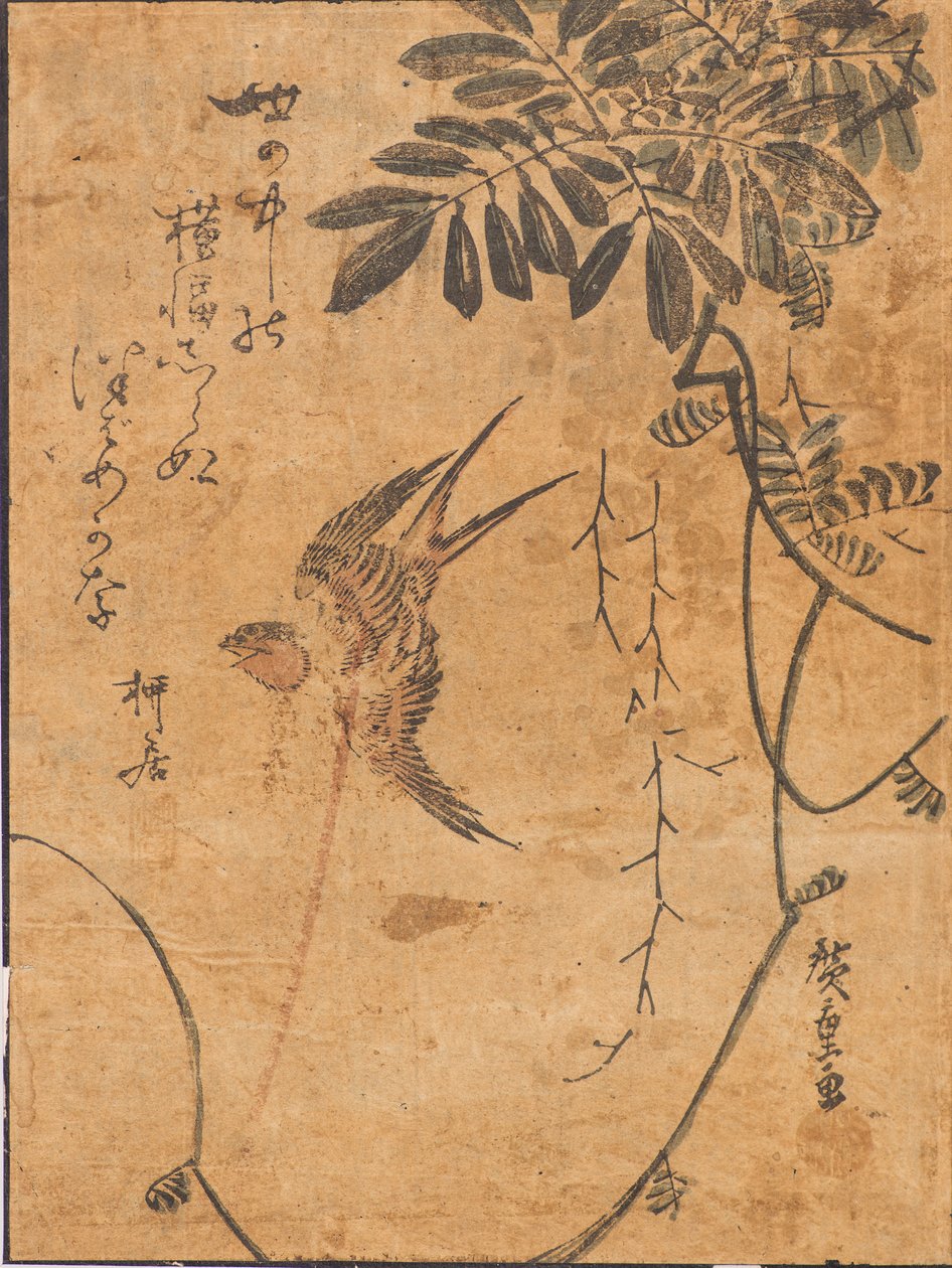 Estudio de Pájaro en Vuelo y Planta de Ando or Utagawa Hiroshige