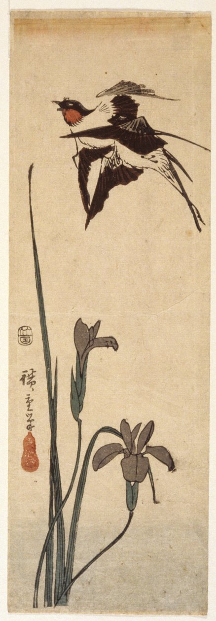 Golondrinas e iris (xilografía en color) de Ando or Utagawa Hiroshige