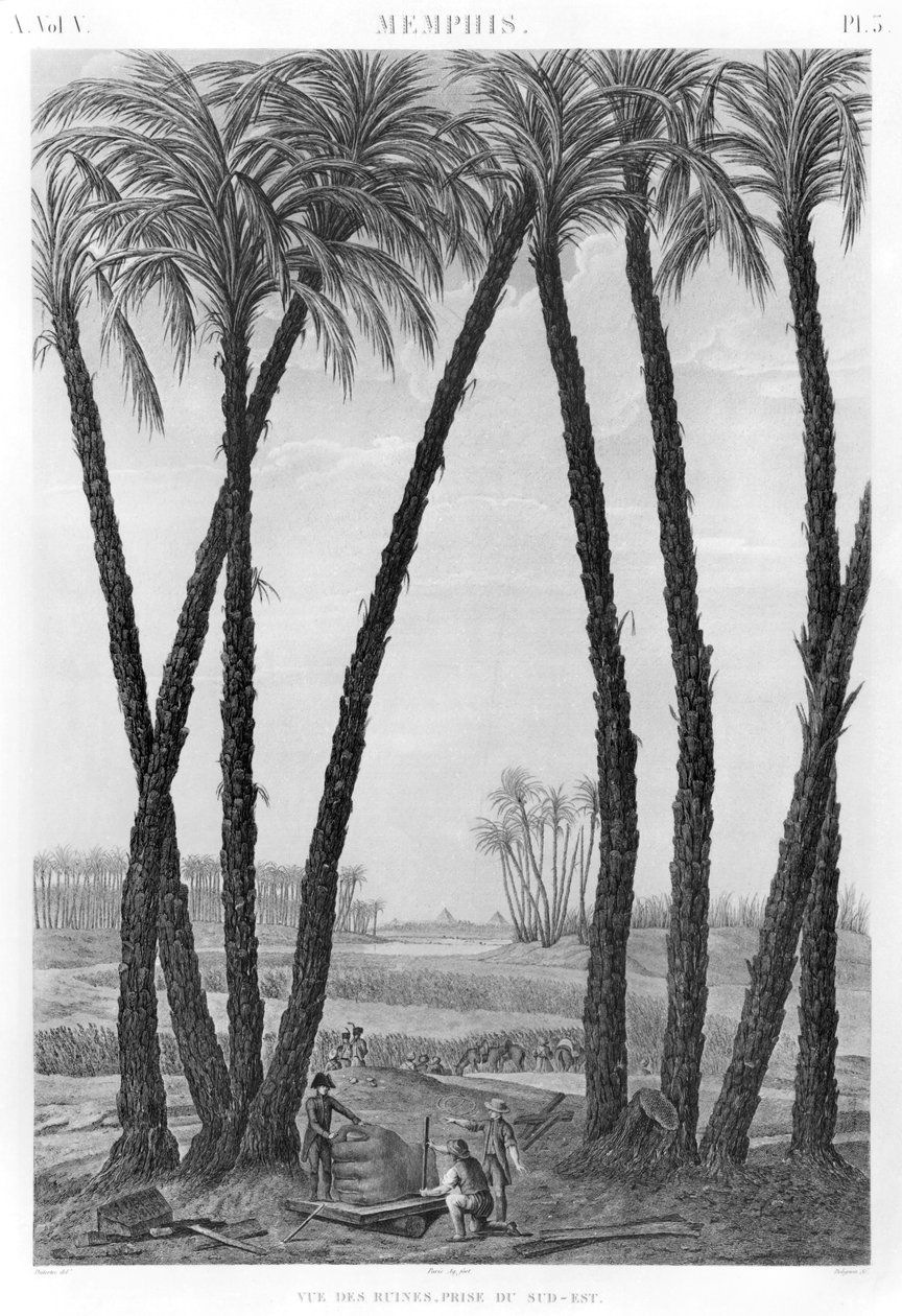 Vista de las ruinas de Menfis vistas desde el sureste, grabado por Jean Louis Delignon (1755-1804) de Andre Dutertre