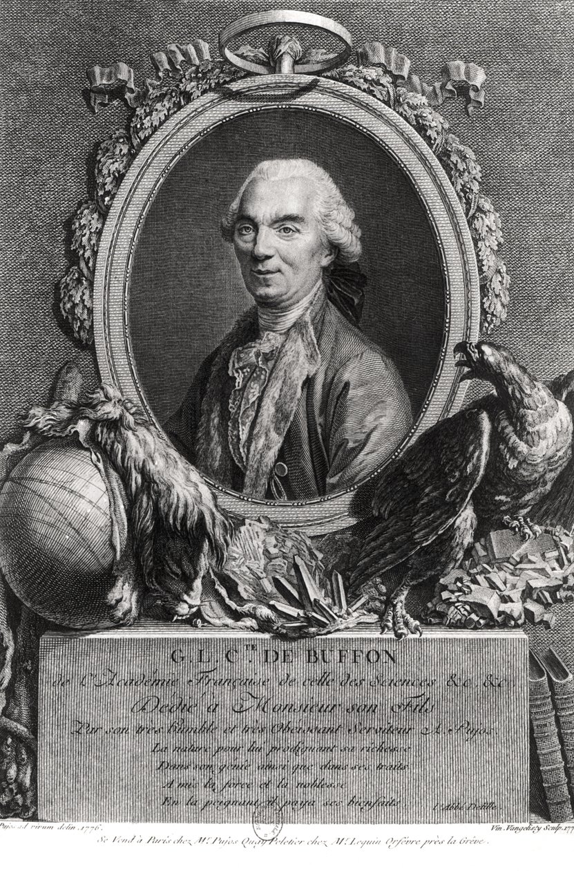 Georges-Louis Leclerc (1707-88) Conde de Buffon, grabado por Vincenzio Vangelisti (1738-98) 1777 de Andre Pujos