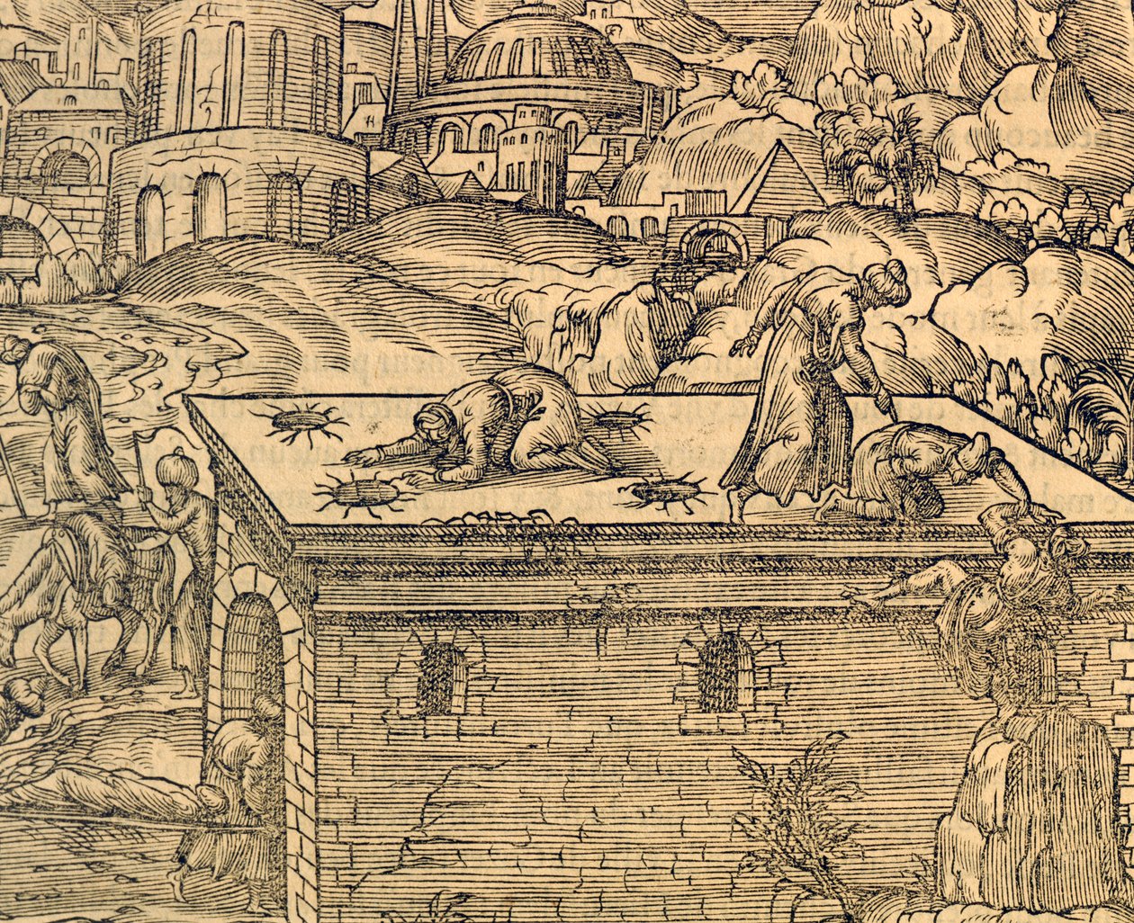 Cementerio cristiano de Acheldemach, grabado de Cosmographie universelle, por André Thevet (1504-1592), París de Andre Thevet