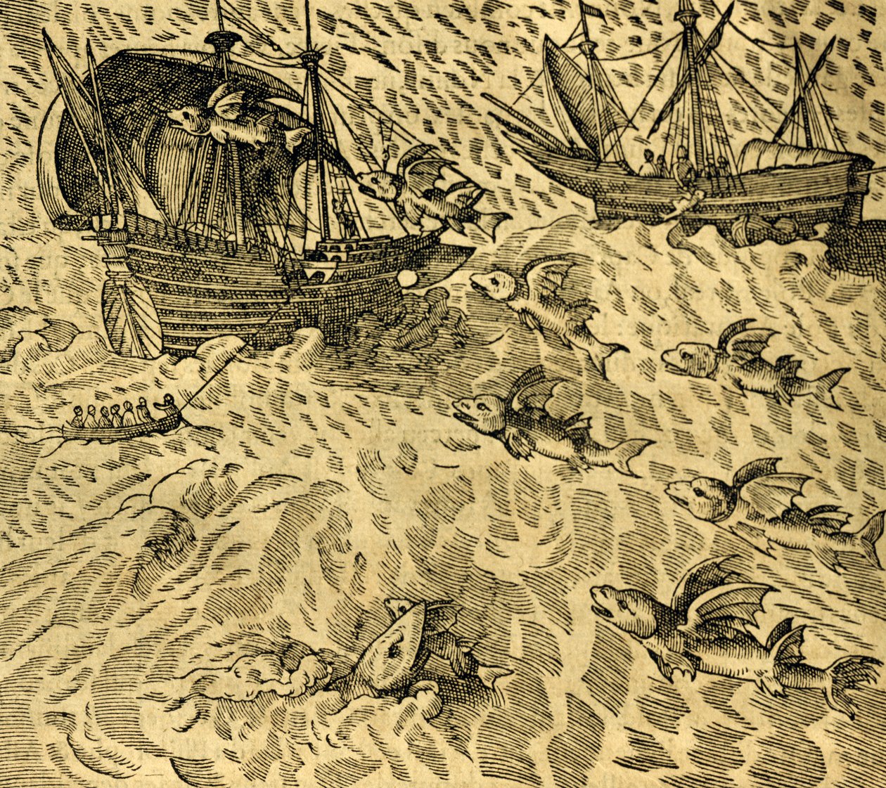 Peces voladores en mares tropicales, grabado de Cosmographie Universelle, por André Thevet (1504-1592), París de Andre Thevet