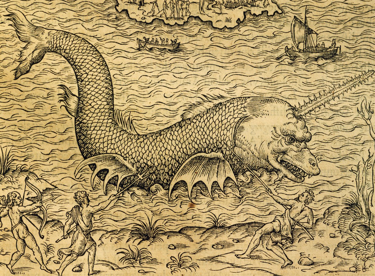 Monstruo marino, grabado de Cosmología Universal, por Andre Thevet (1504-1592), París de Andre Thevet