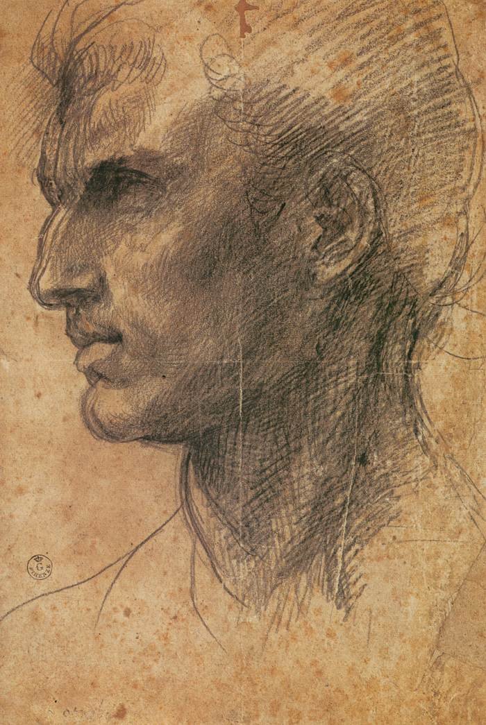 Cabeza de un hombre de perfil mirando a la izquierda de Andrea del Sarto