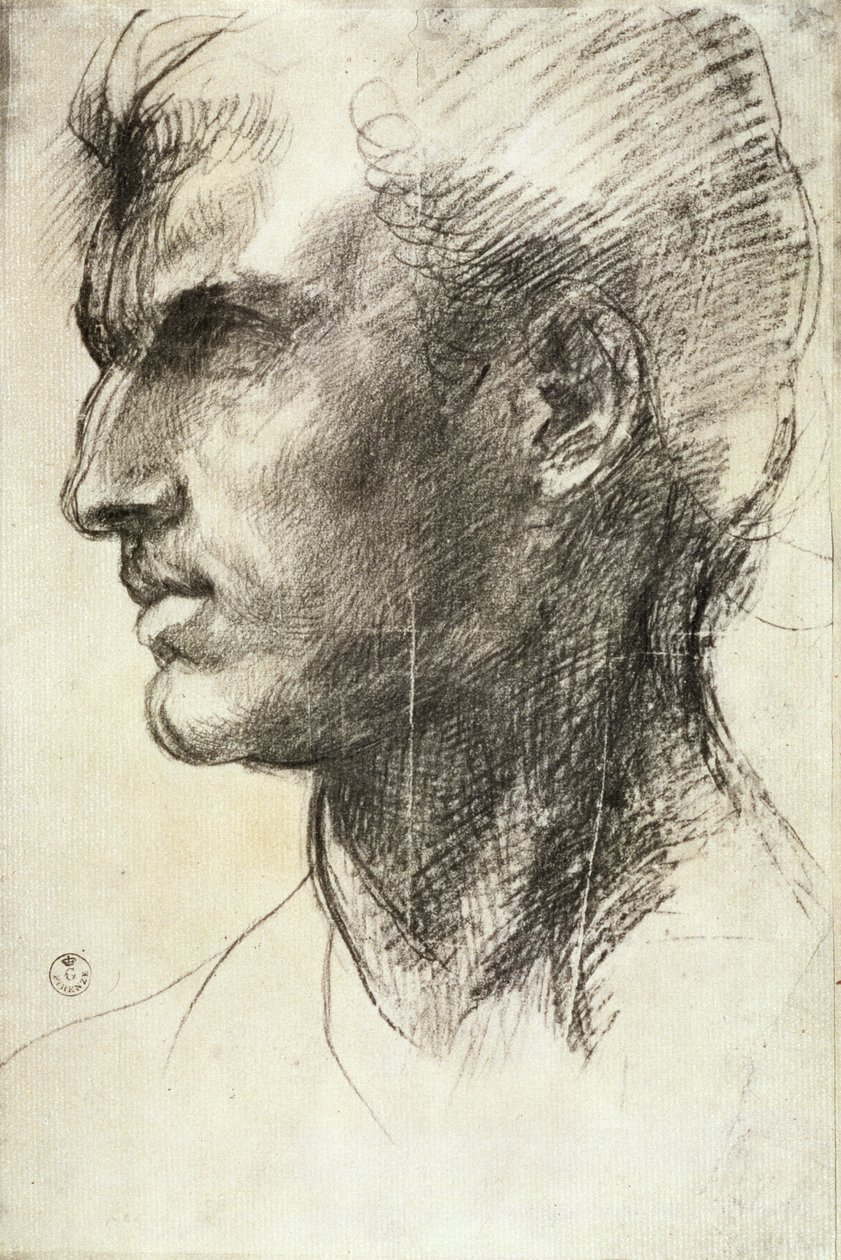 Estudio de una cabeza masculina de Andrea del Sarto