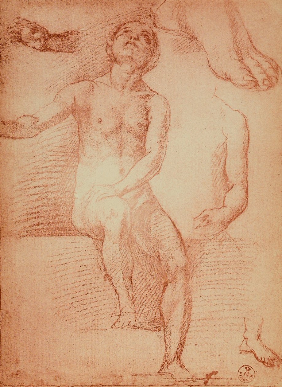 Estudio de una figura desnuda y extremidades humanas, dibujo de Andrea del Sarto. Gabinetto dei Disegni e delle Stampe, Galería Uffizi, Florencia de Andrea del Sarto