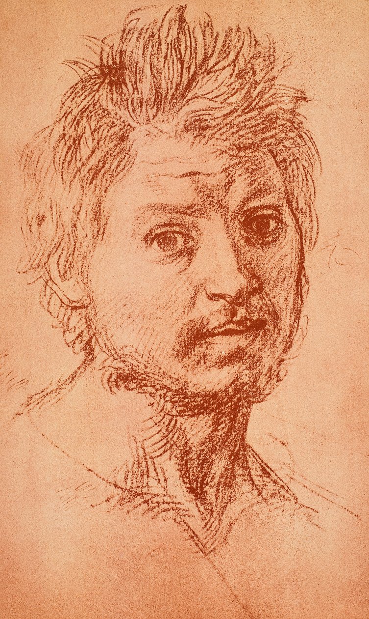 Cabeza viril de Andrea del Sarto
