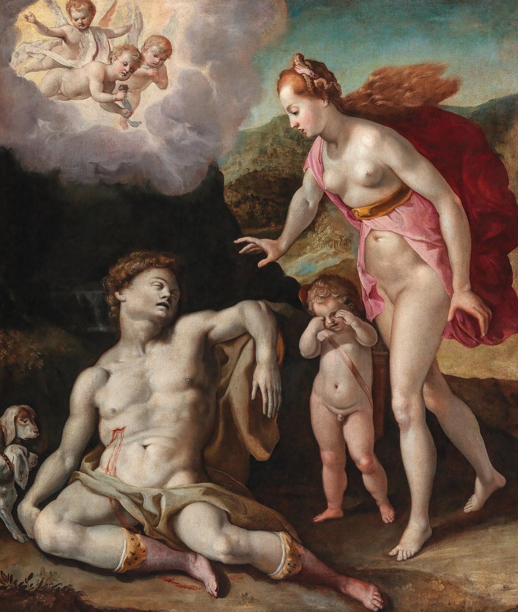 Venus llorando la muerte de Adonis de Andrea Boscoli