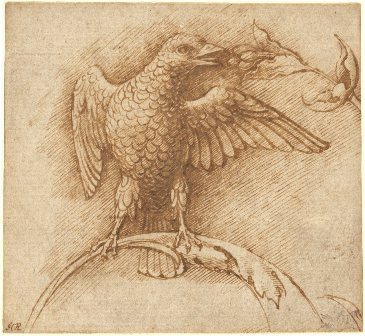 Un pájaro posado en una rama con fruta de Andrea Mantegna