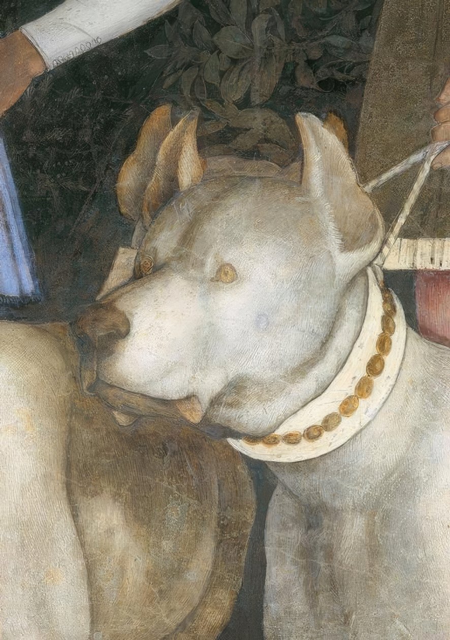 Encuentro entre el marqués Lodovico III Gonzaga con su... de Andrea Mantegna