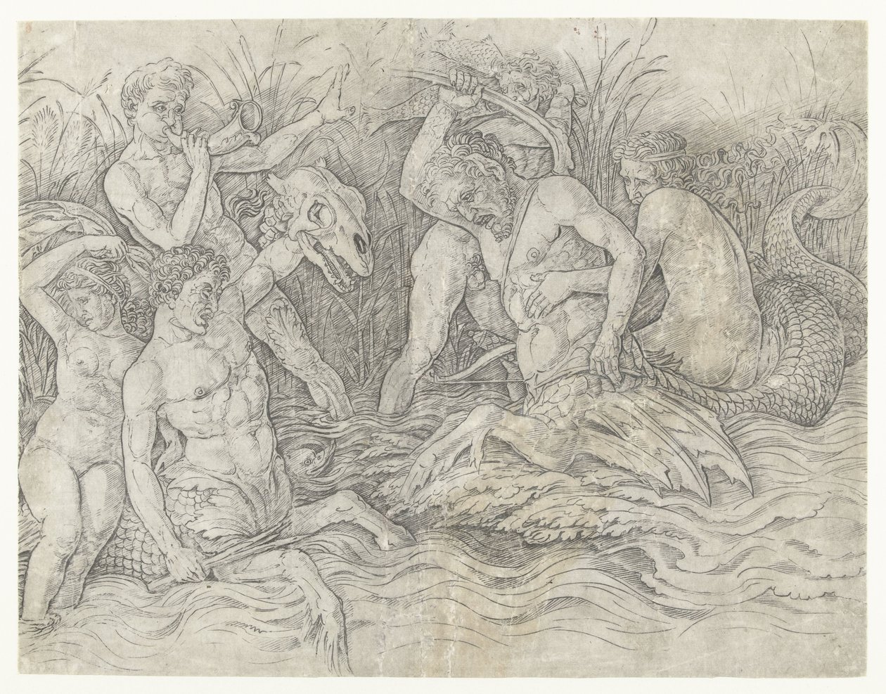 Batalla entre tritones con nereidas a sus espaldas Batalla de los dioses del mar de Andrea Mantegna