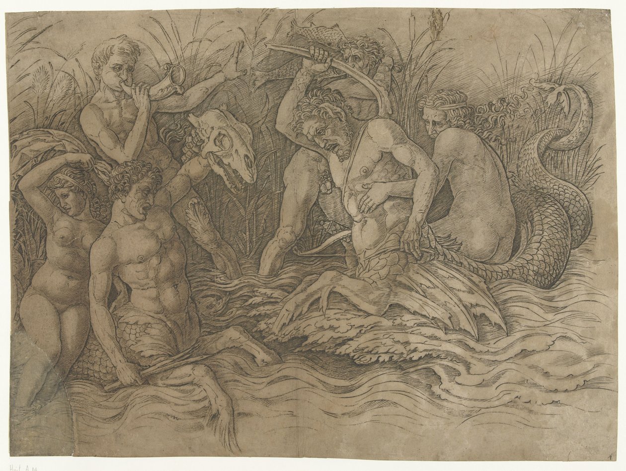 Batalla entre tritones con nereidas a sus espaldas Batalla de los dioses del mar de Andrea Mantegna