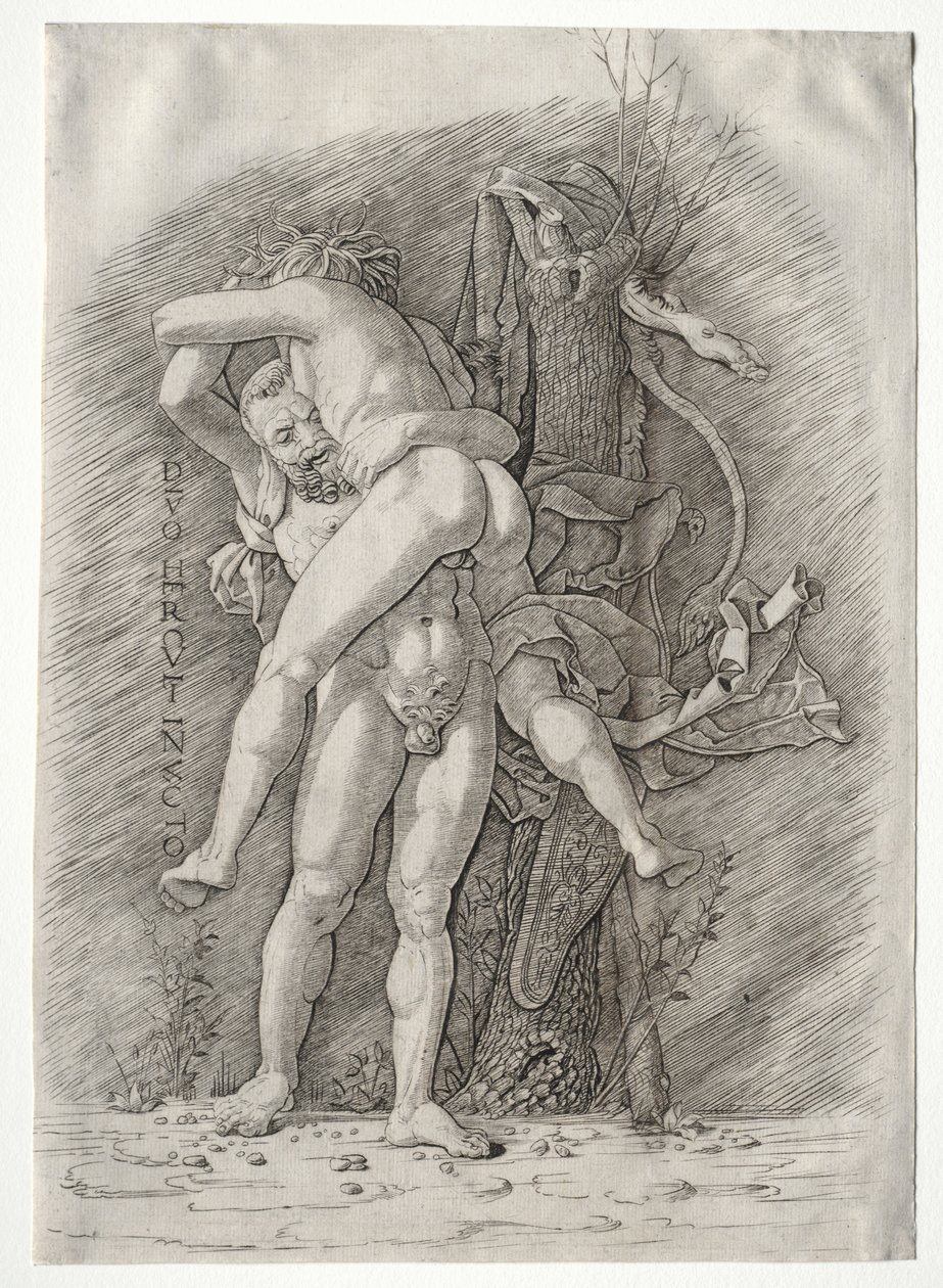Hércules y Anteo, 1400s de Andrea Mantegna