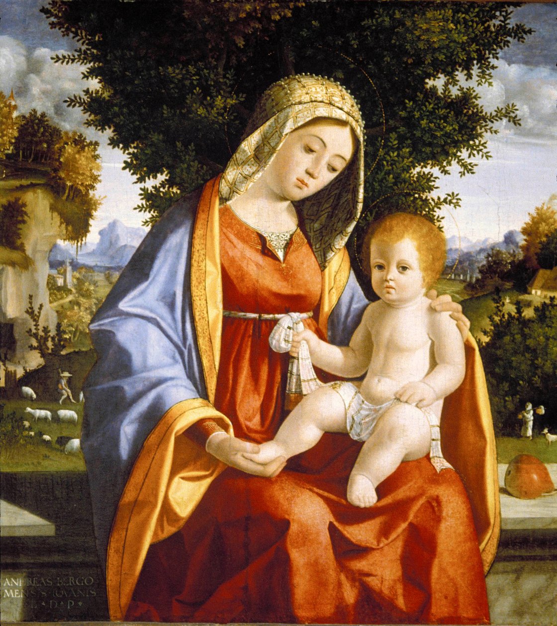 Virgen con el Niño en un paisaje de Andrea Previtali