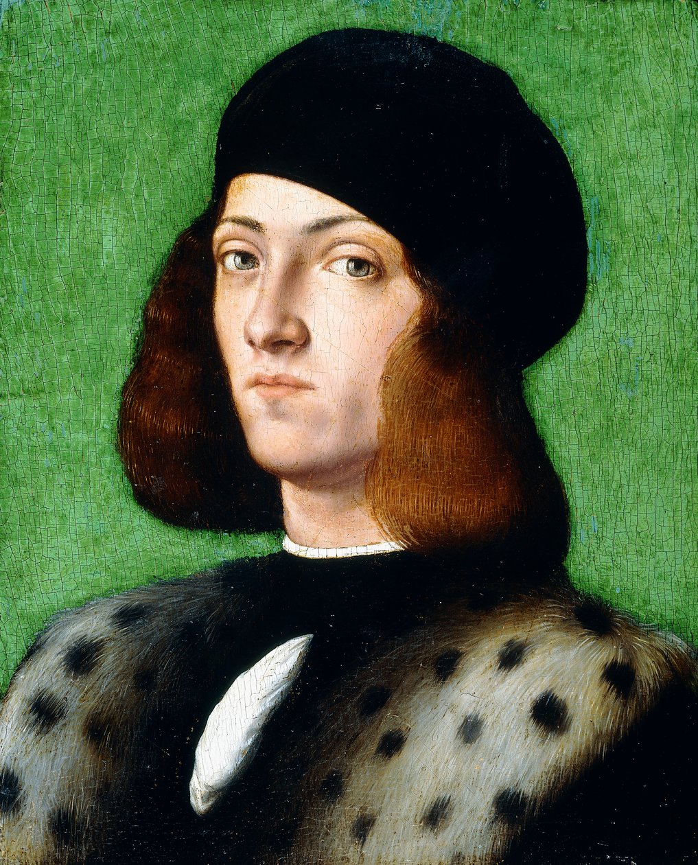 Retrato de un joven caballero, busto, vistiendo una gorra negra y un abrigo negro, 1506 de Andrea Previtali