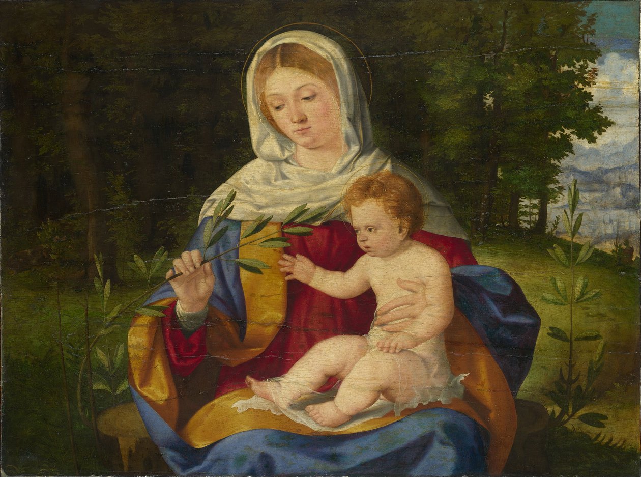 La Virgen y el Niño con un Brote de Olivo de Andrea Previtali