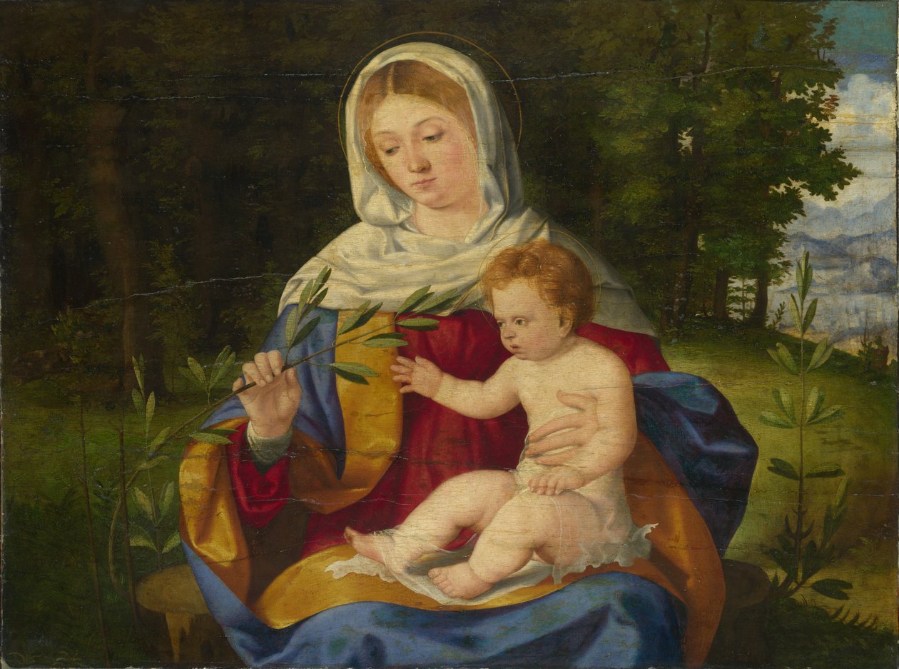 La Virgen y el Niño con un brote de olivo, ca 1515 de Andrea Previtali