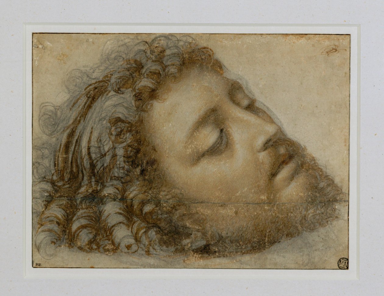 Cabeza de San Juan Bautista ... de Andrea Solario