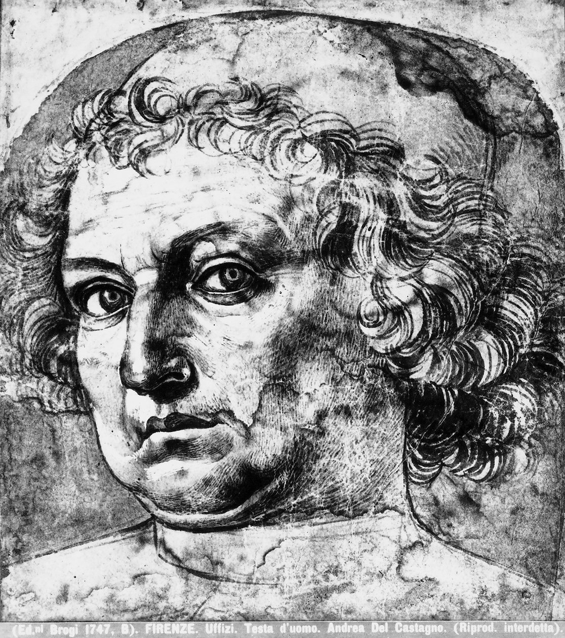 Cabeza de Hombre, o retrato de Andrea del Verrocchio, c.1450 de Andrea del Castagno