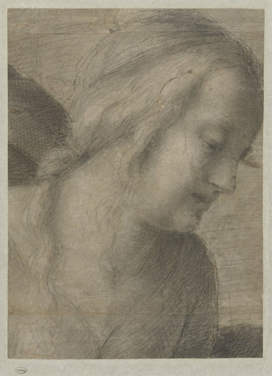 Cabeza de María, en una adoración de Andrea del Sarto