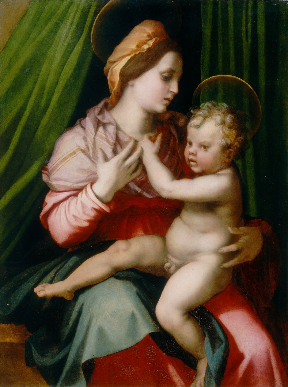 Madonna con Niño, conservado en la Galería Palatina en el Palacio Pitti, Florencia de Andrea del Sarto