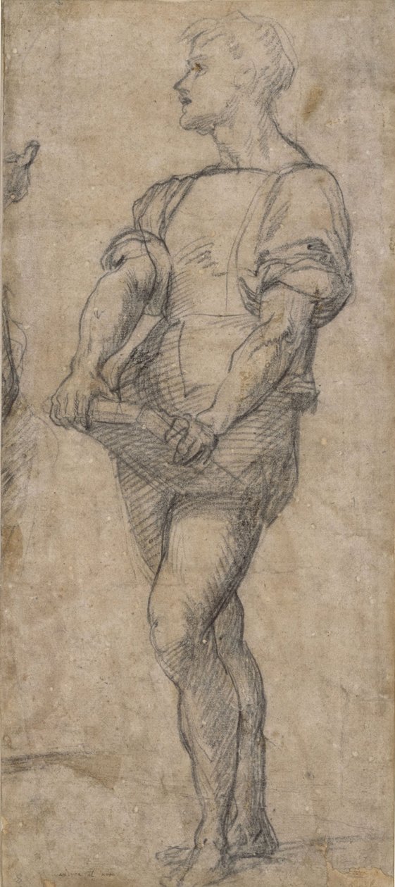 Joven de pie sosteniendo un libro, ca 1515 de Andrea del Sarto