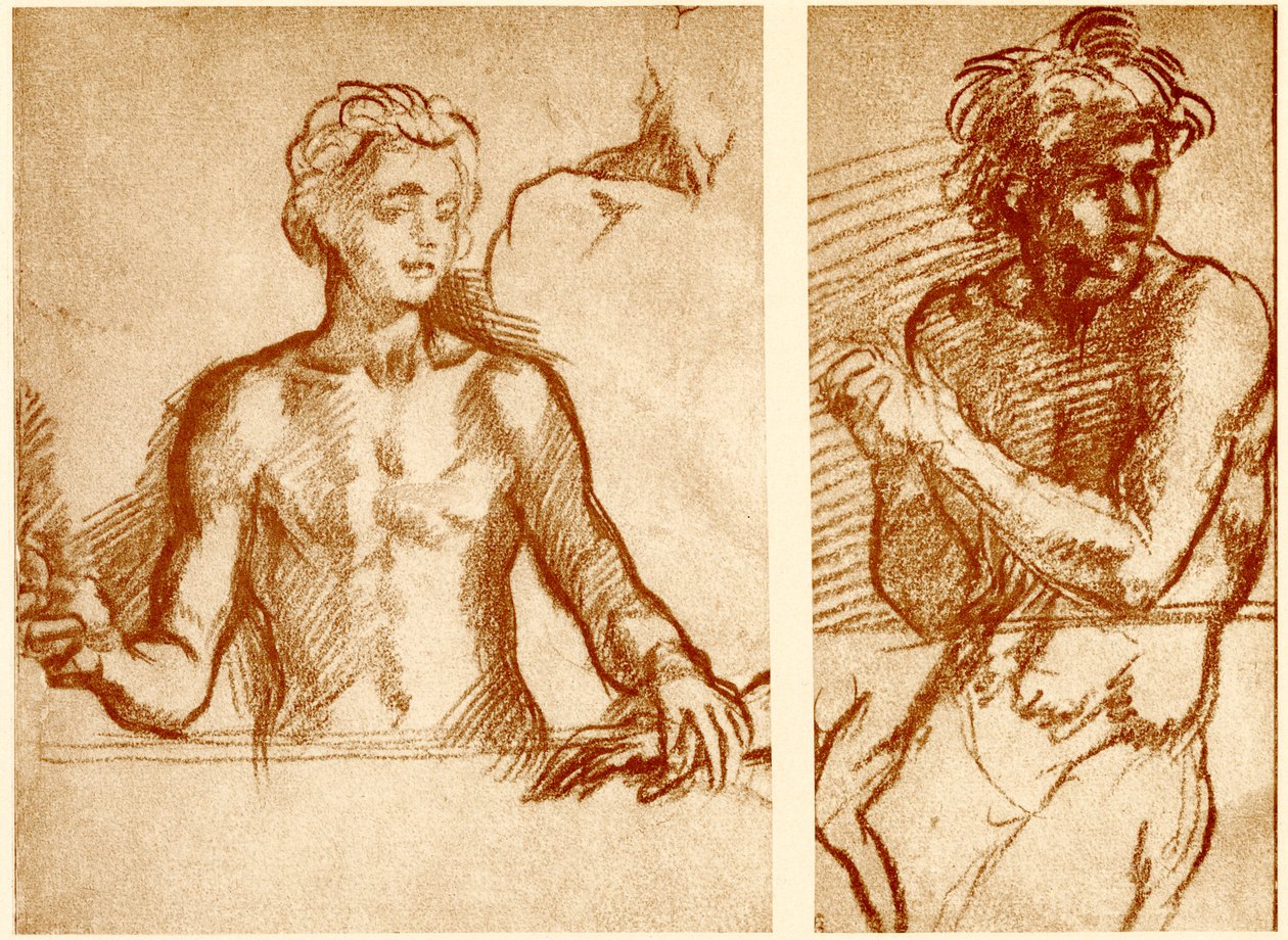 Estudios sobre la figura de Cristo de Andrea del Sarto