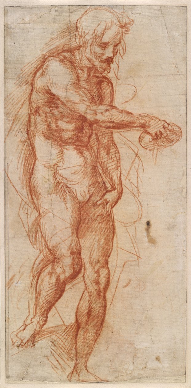 Studie für Johannes den Täufer de Andrea del Sarto