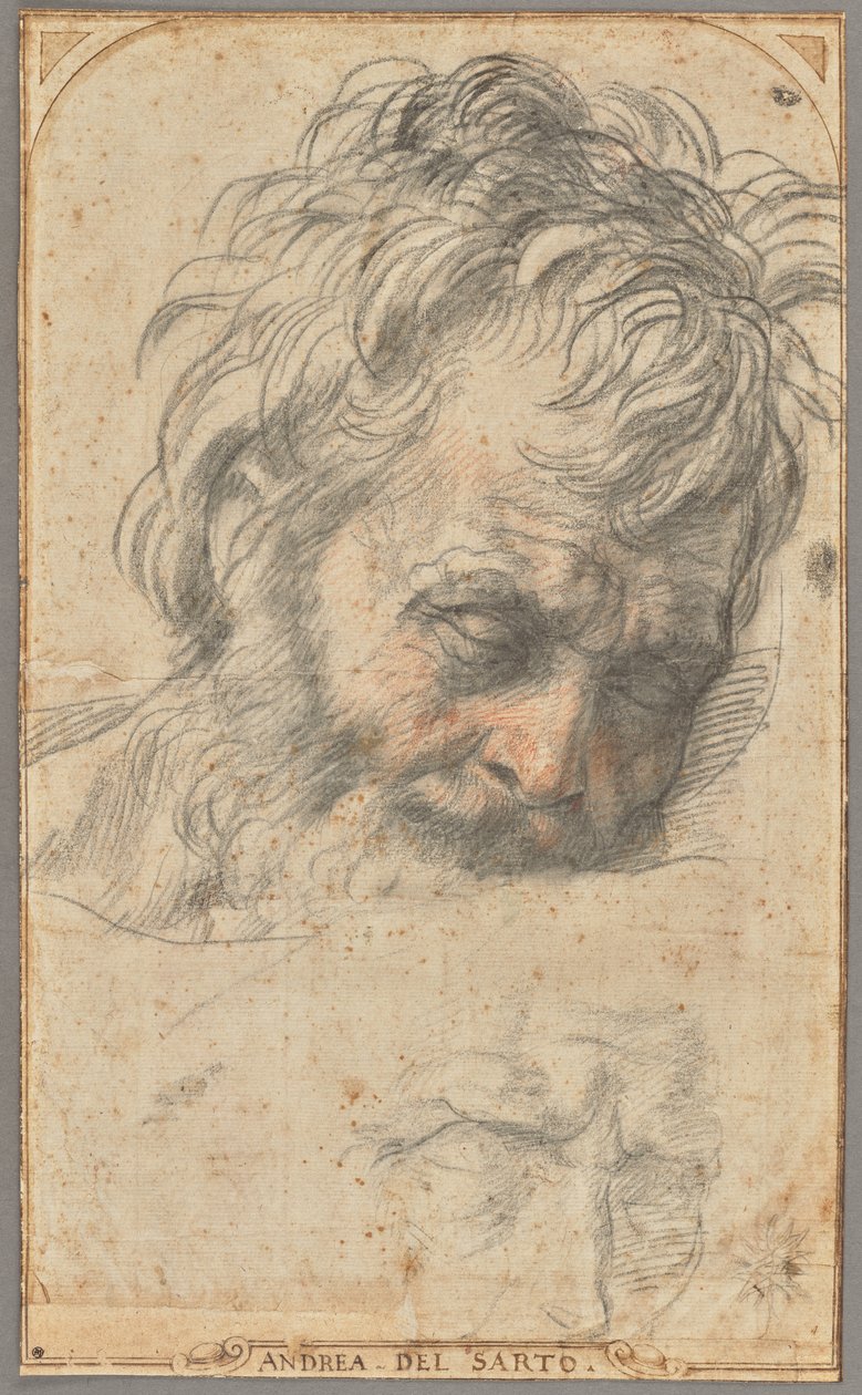Estudio para la cabeza de San José (anverso); dos estudios de piernas (reverso) de Andrea del Sarto